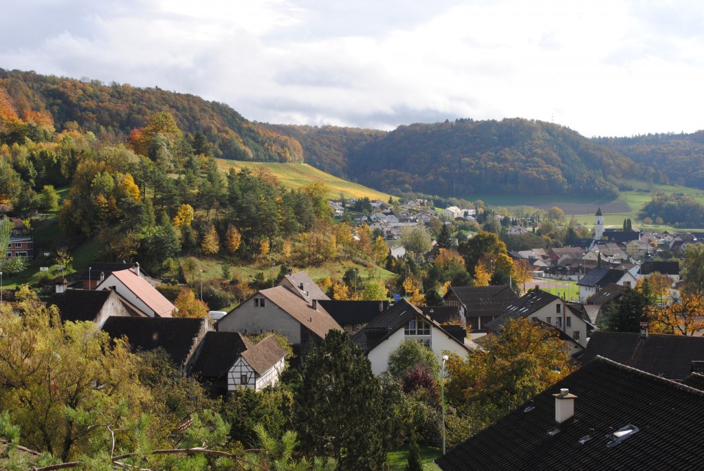 The view of Tegerfelden from Patricia's apartment window.