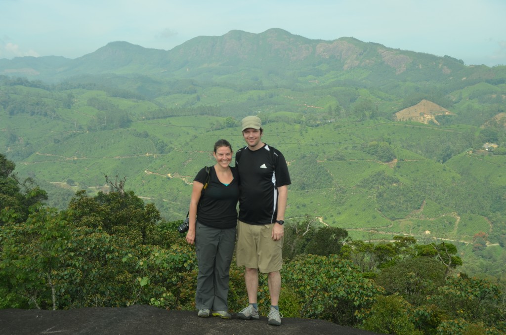 View of the tea fields from the top.